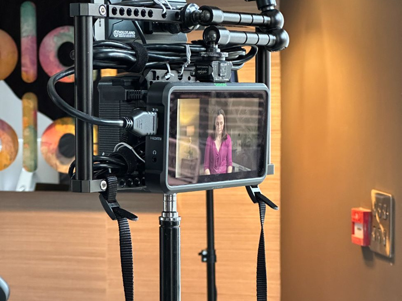 Director monitor 