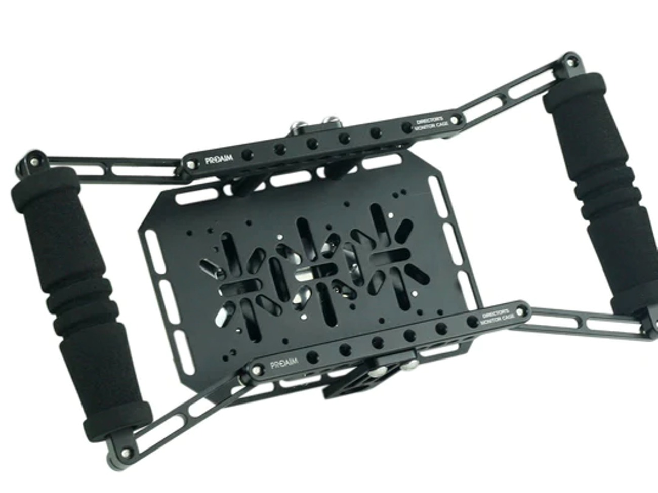 Directors monitor cage