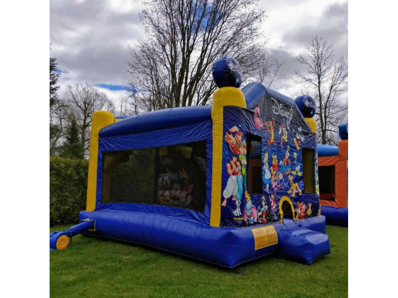 Disney bouncy castle