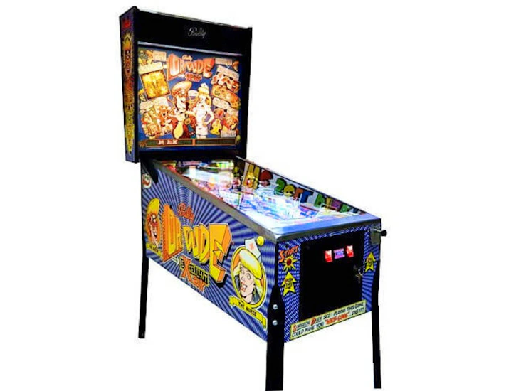 Dr. dude and his excellent ray pinball