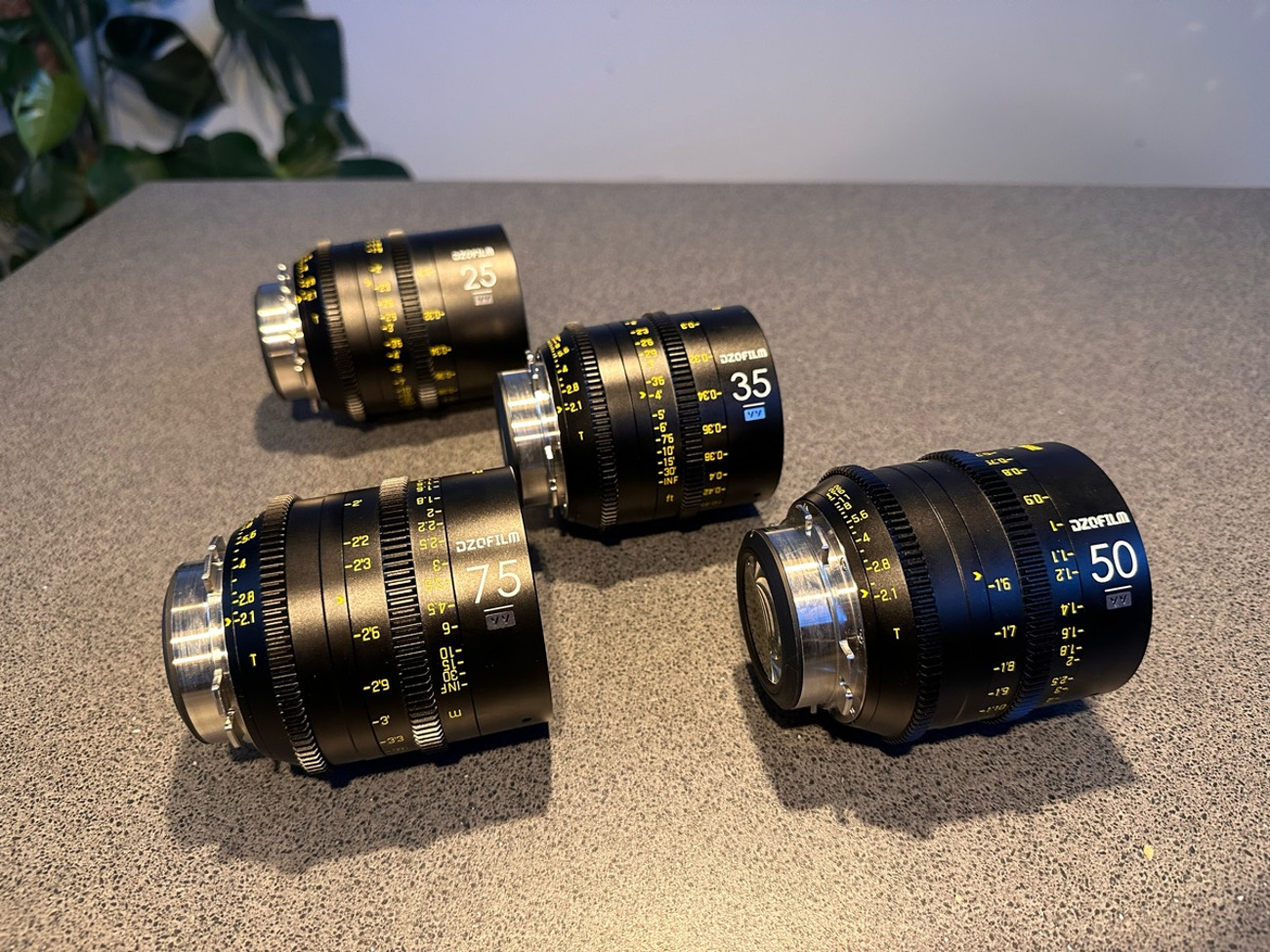 Dzo vespid pl lens set