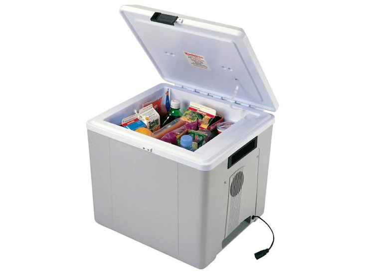 Electric cooler