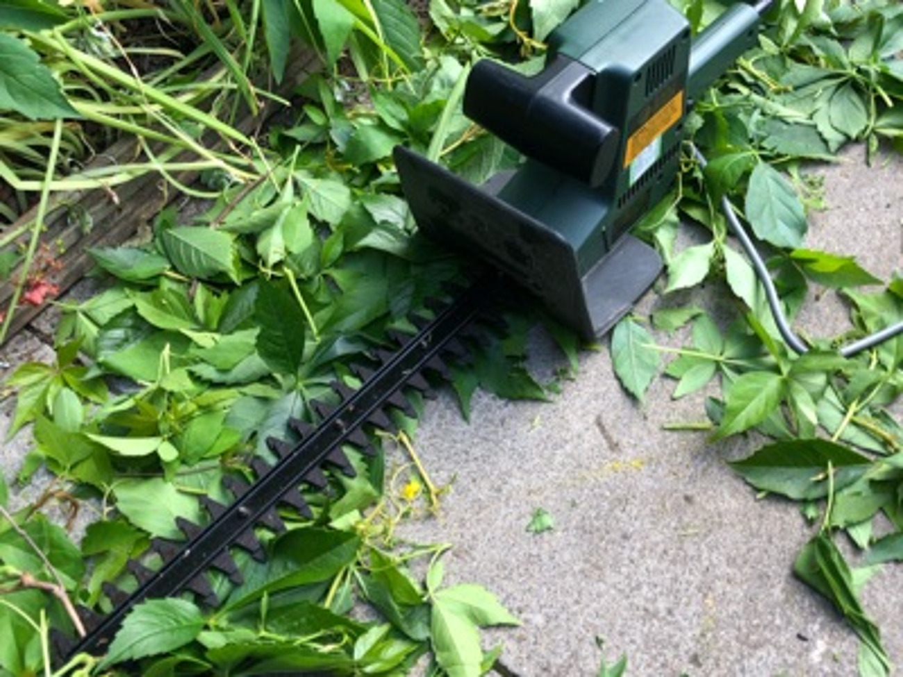Electric hedge trimmer