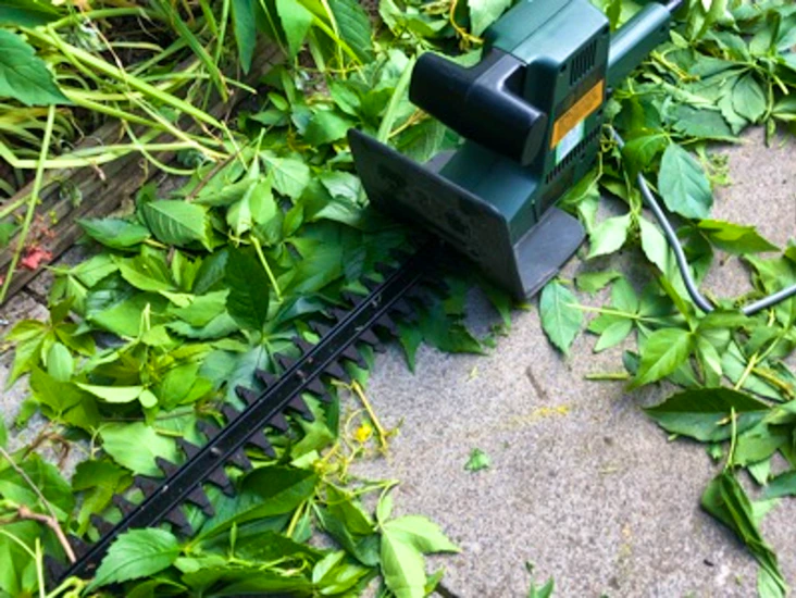Electric hedge trimmer
