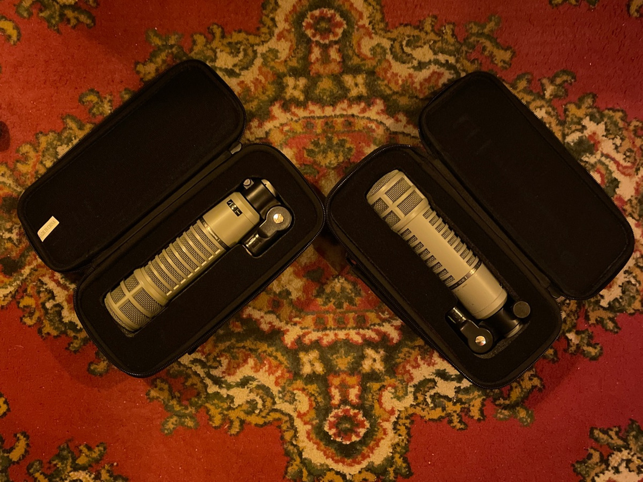 Electrovoice re20 pair