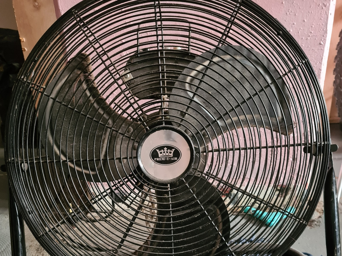 Fan, stage fan