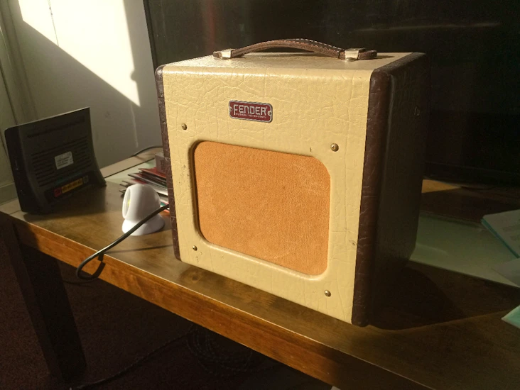 Fender champion 600