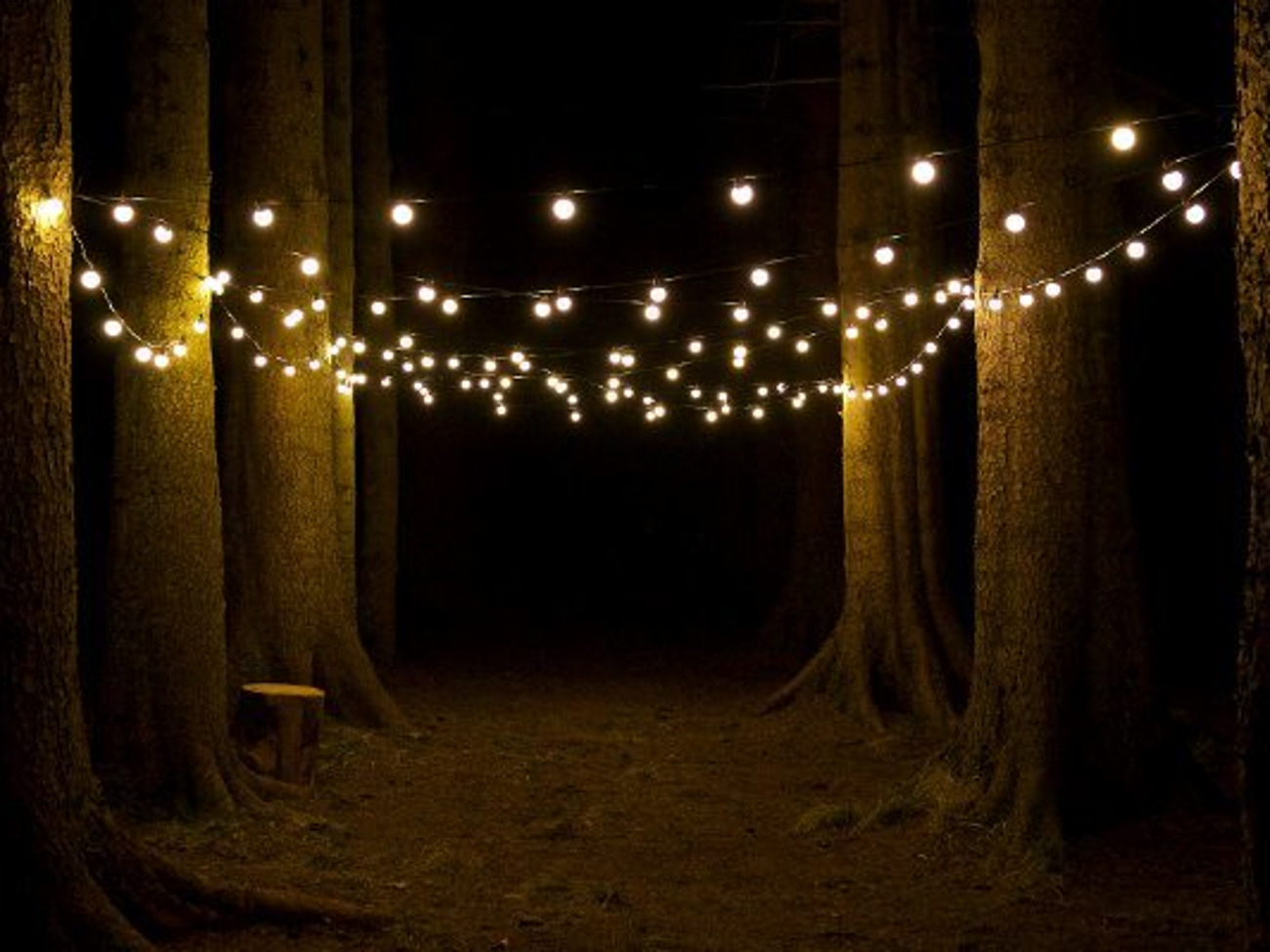 Festoon wedding lights - indoor and outdoor