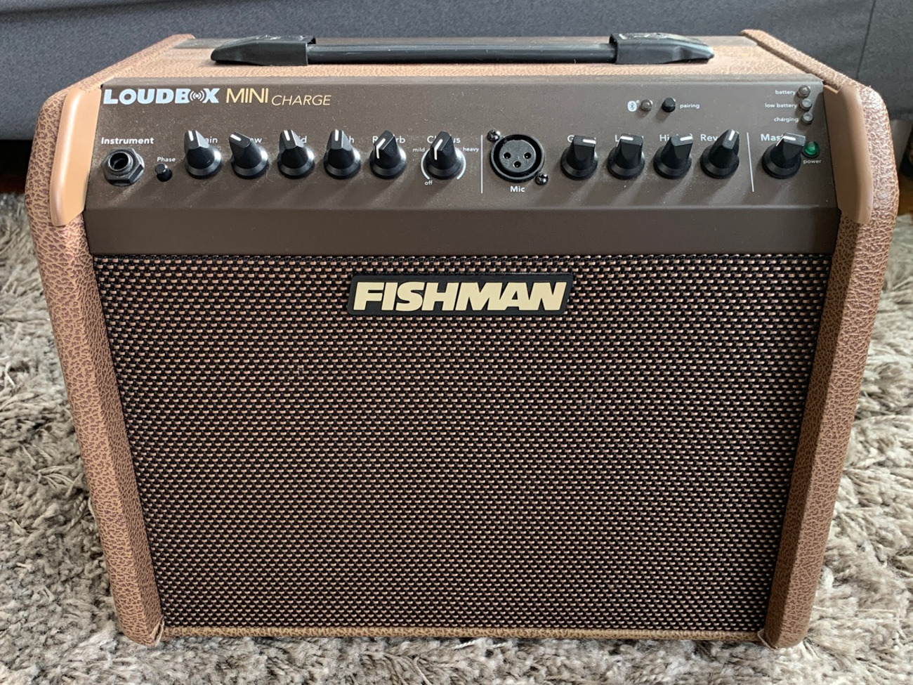 Fishman loudbox mini charge