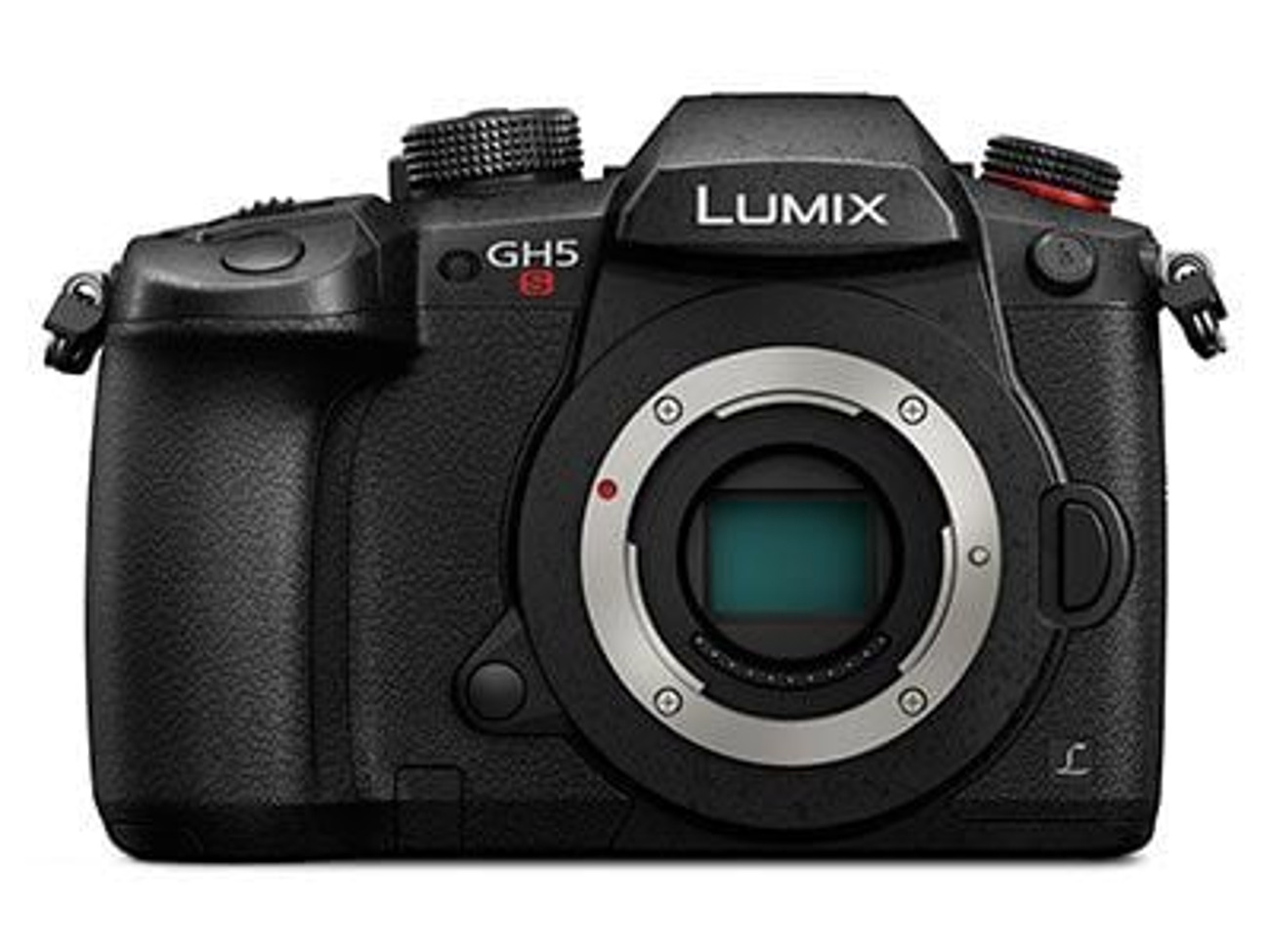 Gh5s body with ef adaptor and sd cards