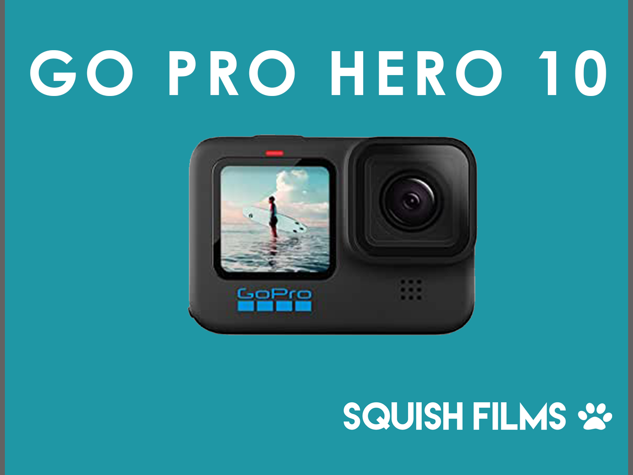 Go pro hero 10  5.3k  w/accessories