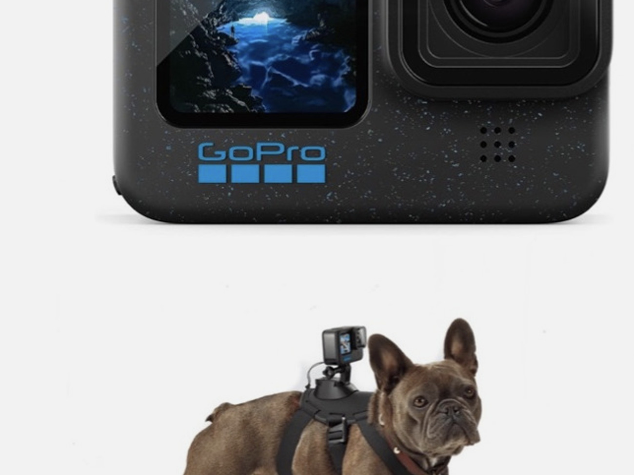 Gopro hero 12 (new) kit + 128gb sd card + accessories 