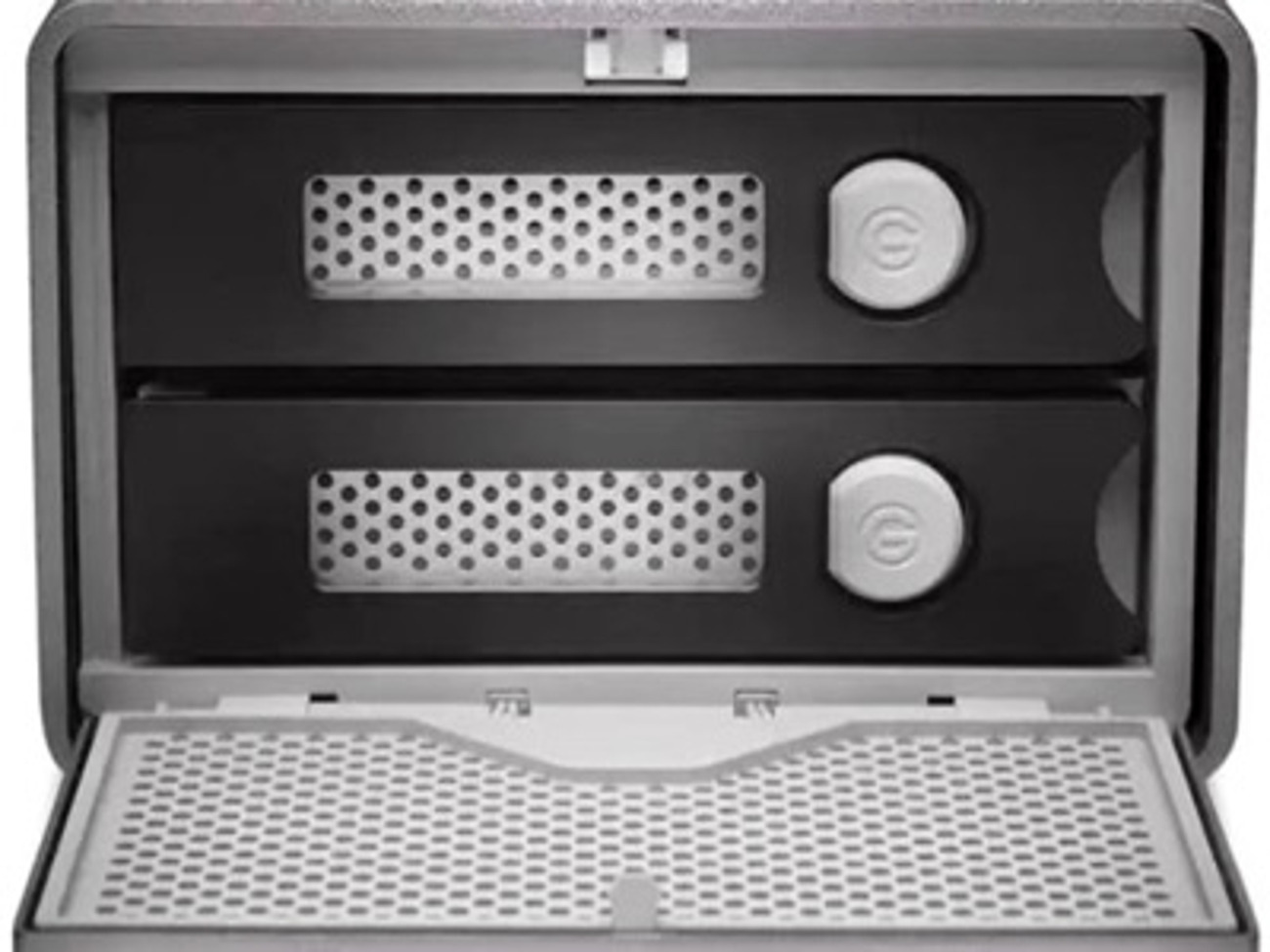G_raid 2 hard drive 24 tb