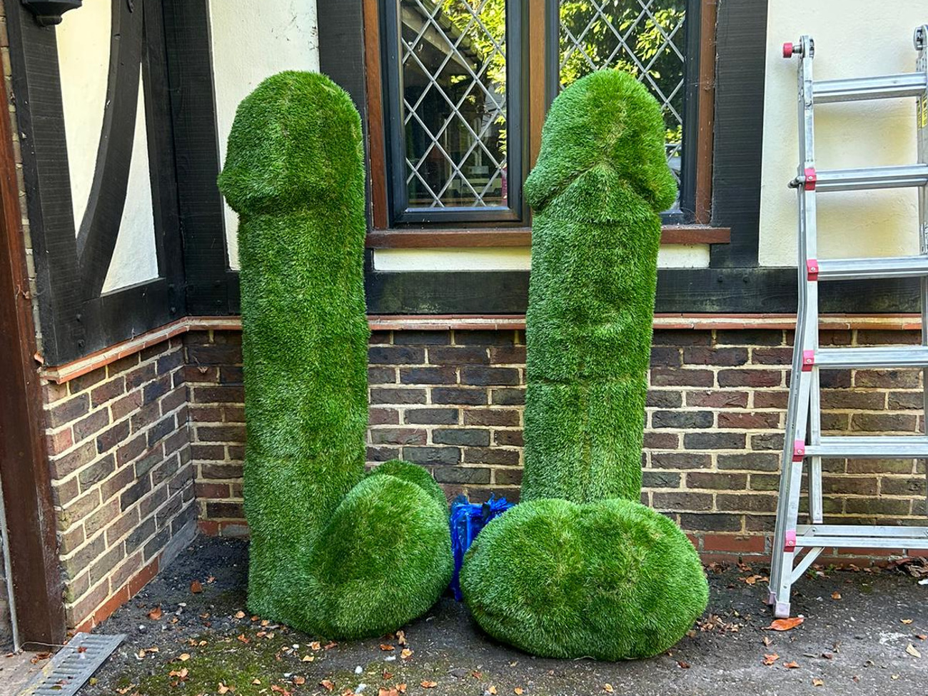 Grass penis shaped bushes 