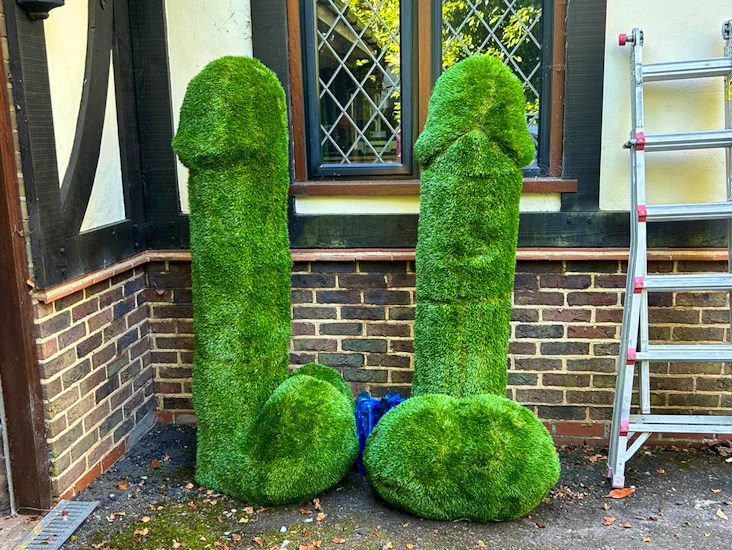 Grass penis shaped bushes