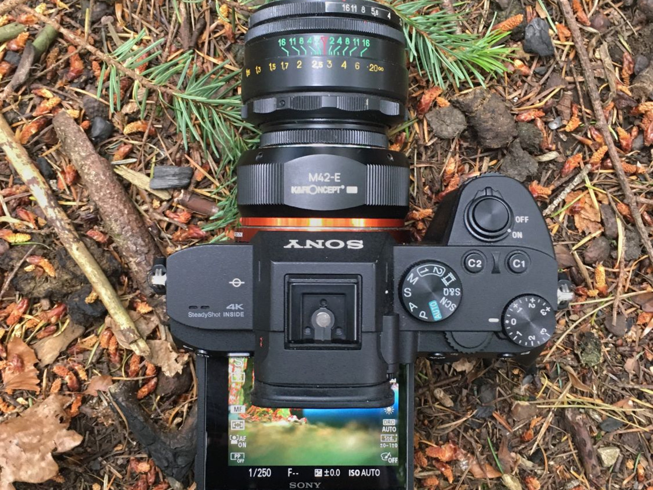 Vintage Lenses Can You Use A Sony Lens On A Canon Camera Canon