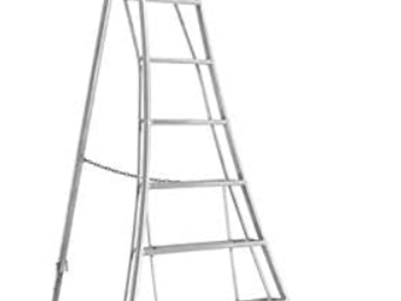 Henchman ladder