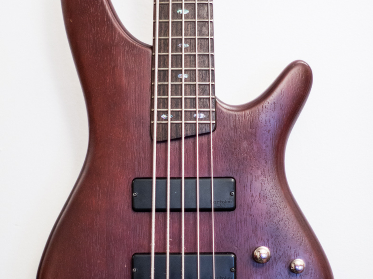 Ibanez sr-505 5-string bass