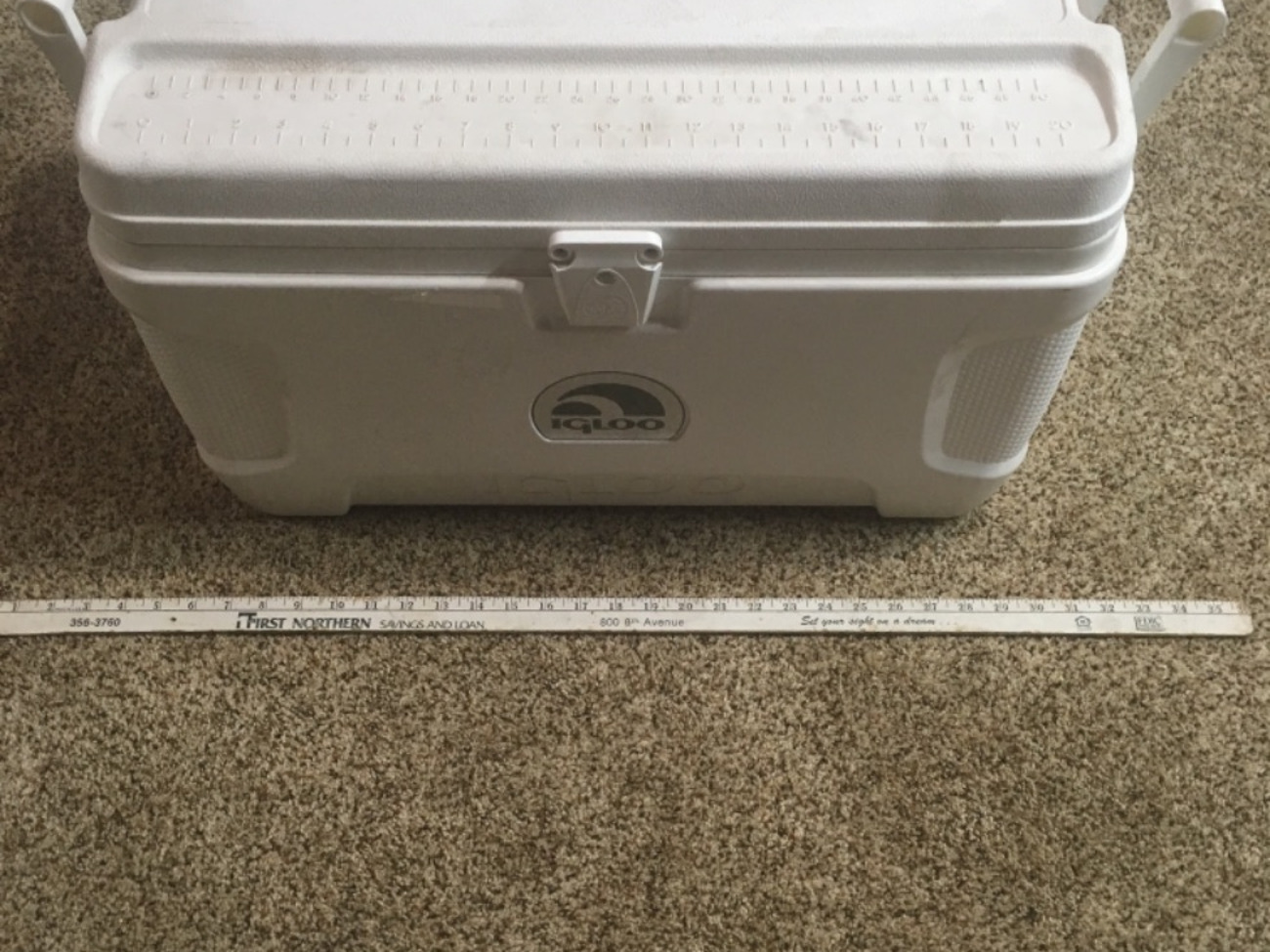 Igloo 52 quart cooler 