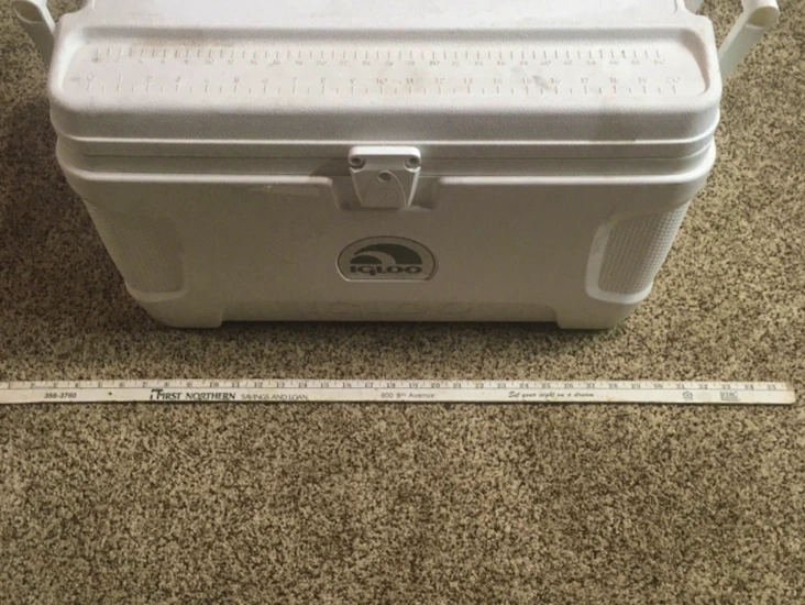 Igloo 52 quart cooler