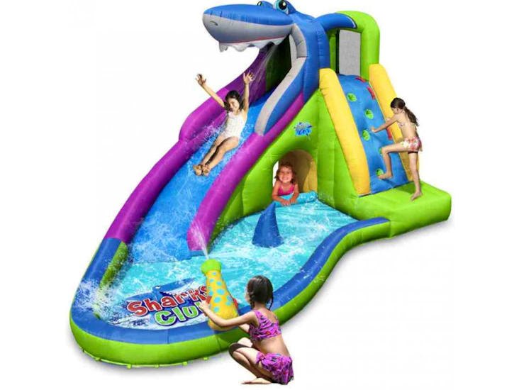 Inflatable shark water slide