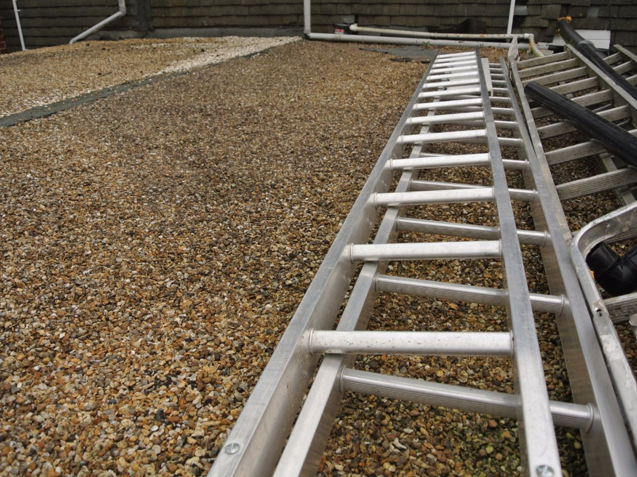 Ladder double extending