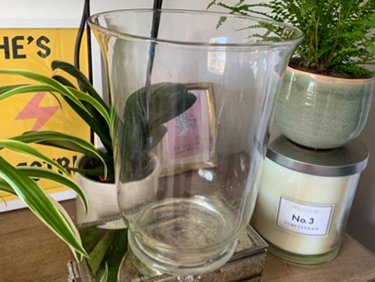 Large hurricane vases