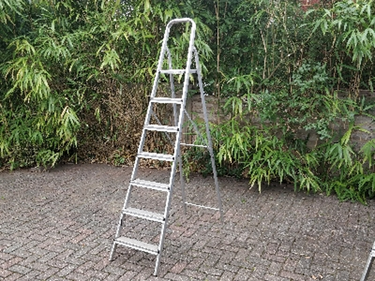 Large step ladder