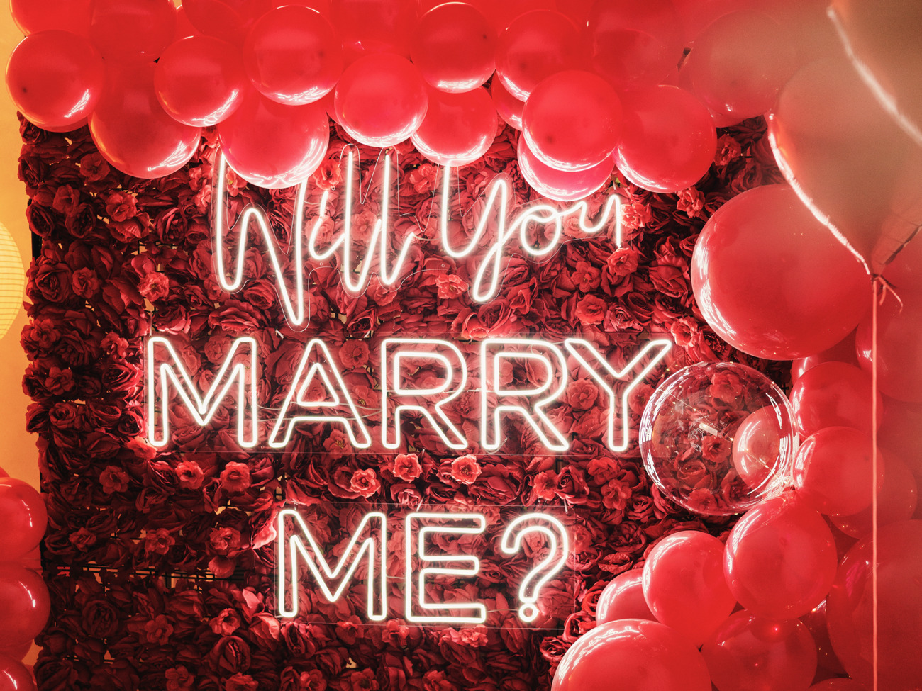Led will you marry me 
