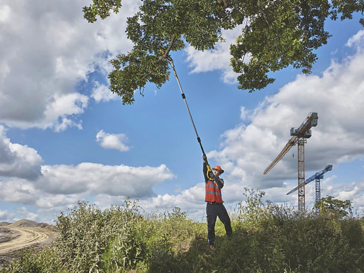 Long reach chain saw