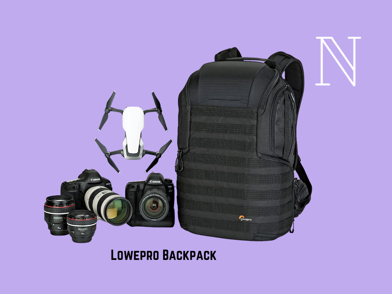 Lowepro backpack 