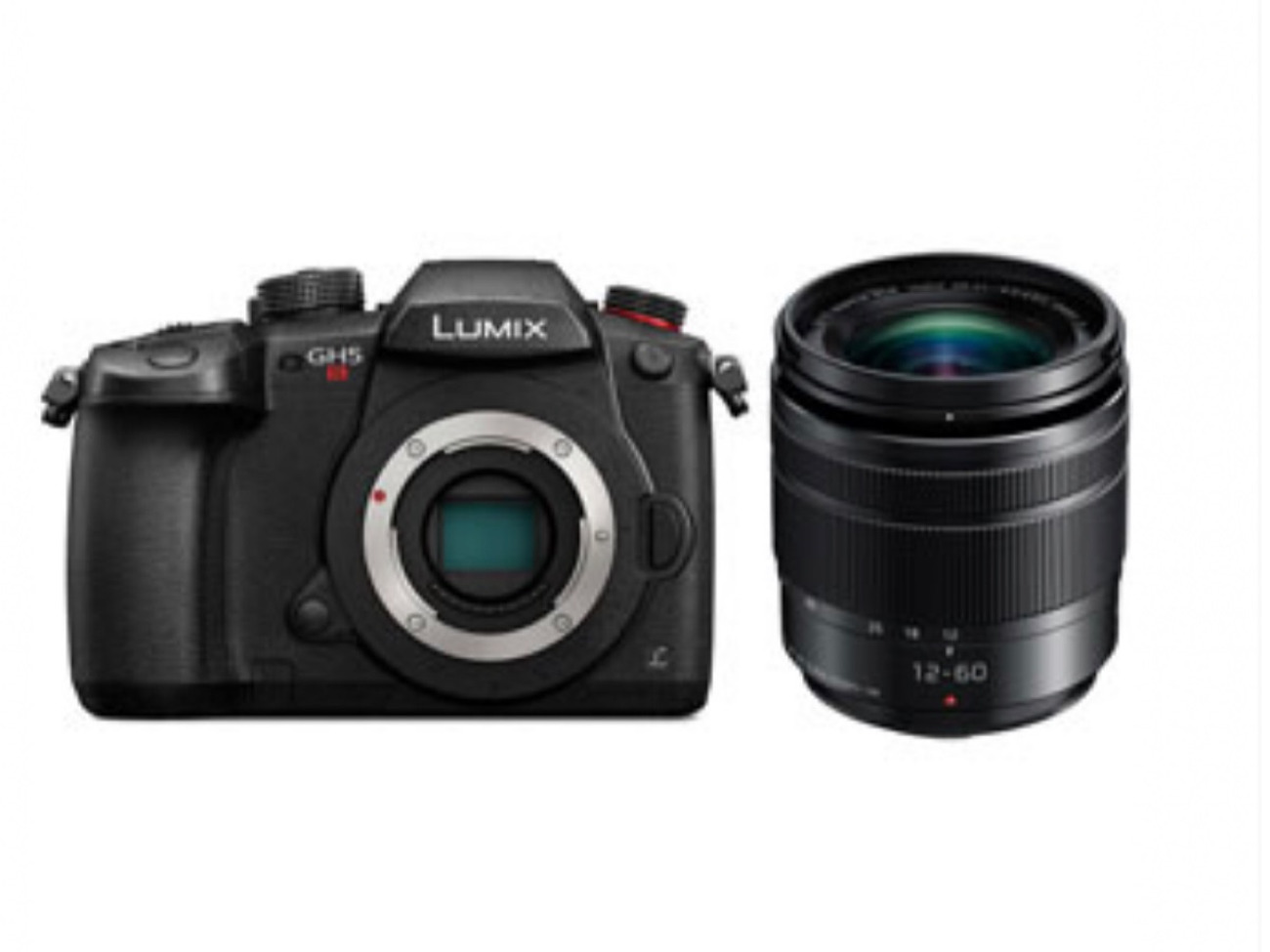 Lumin gh5s  mirrorless camera with vario-elmarit 12-60mm