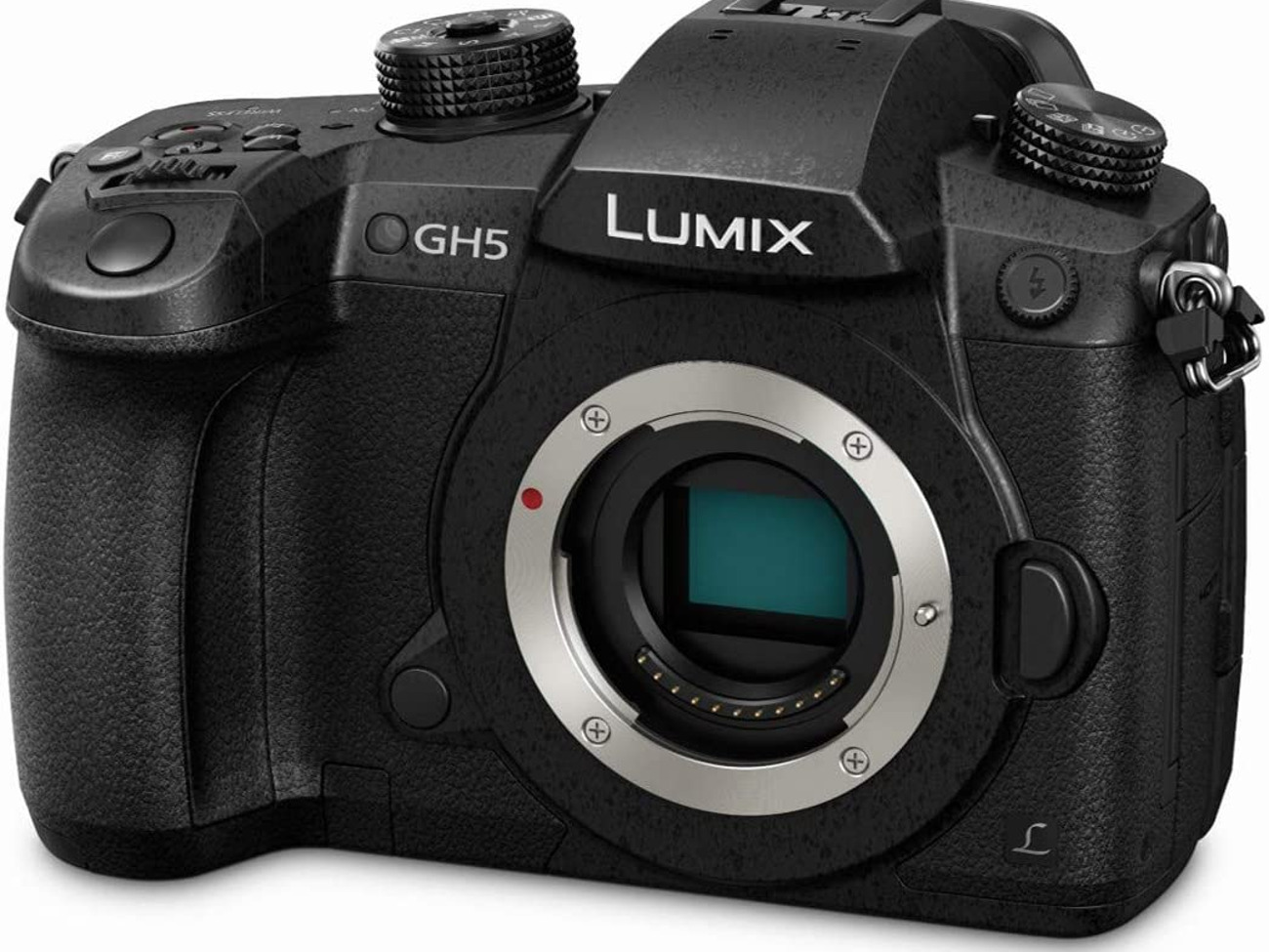 Lumix gh5 with v-log