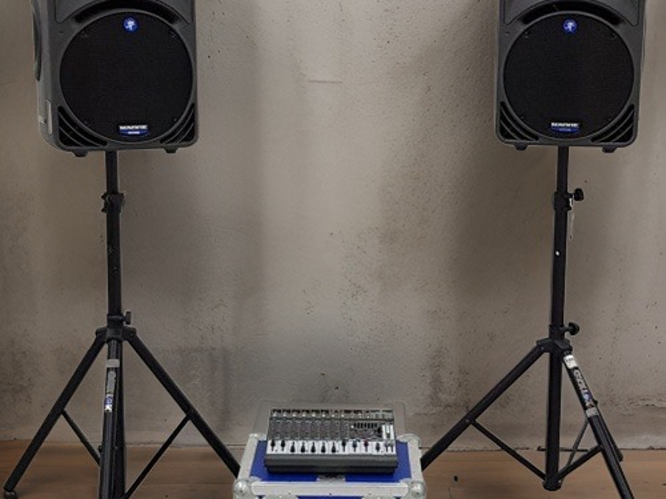 Mackie smr450 v1 speakers 