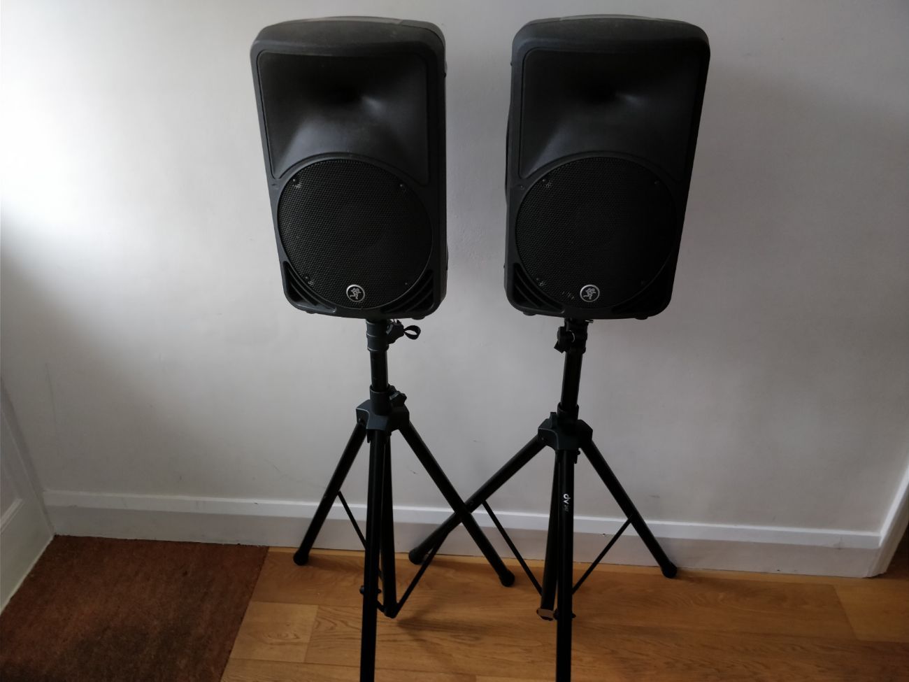 Mackie srm350 active pa speakers