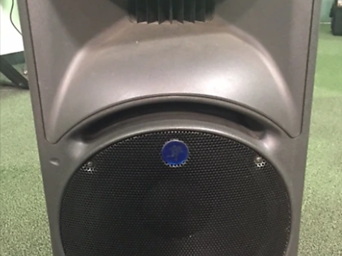 Mackie srm450 (single)