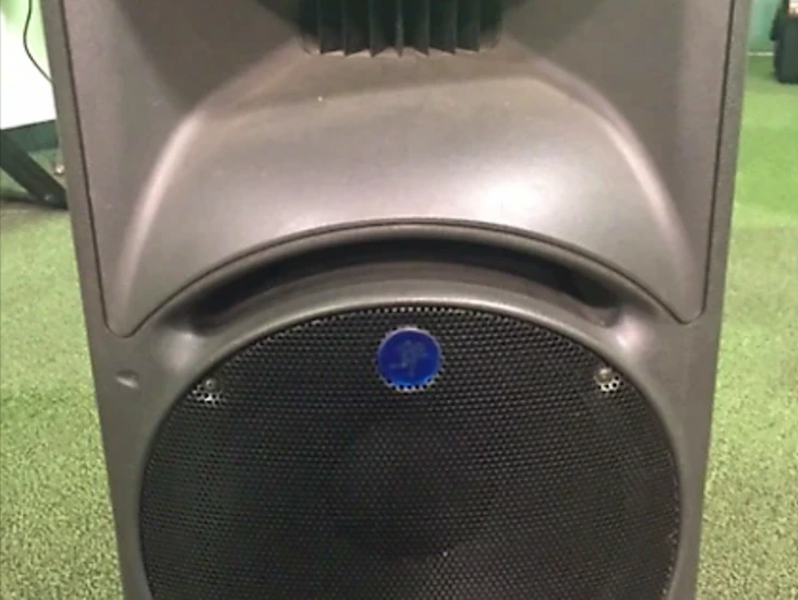 Mackie srm450 (single)