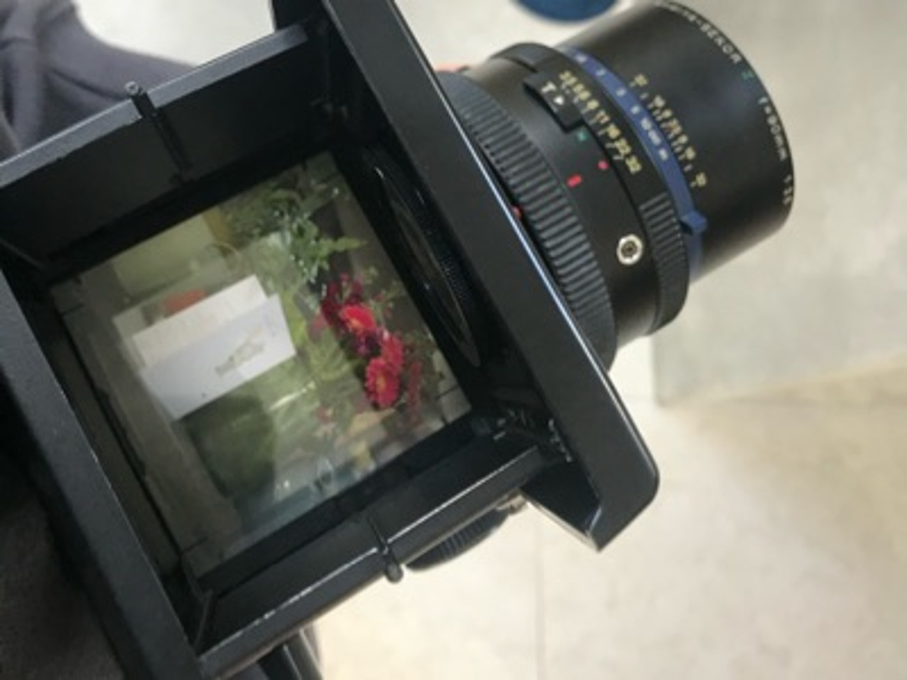 Mamiya rz67 w/ 90mm f/3.5
