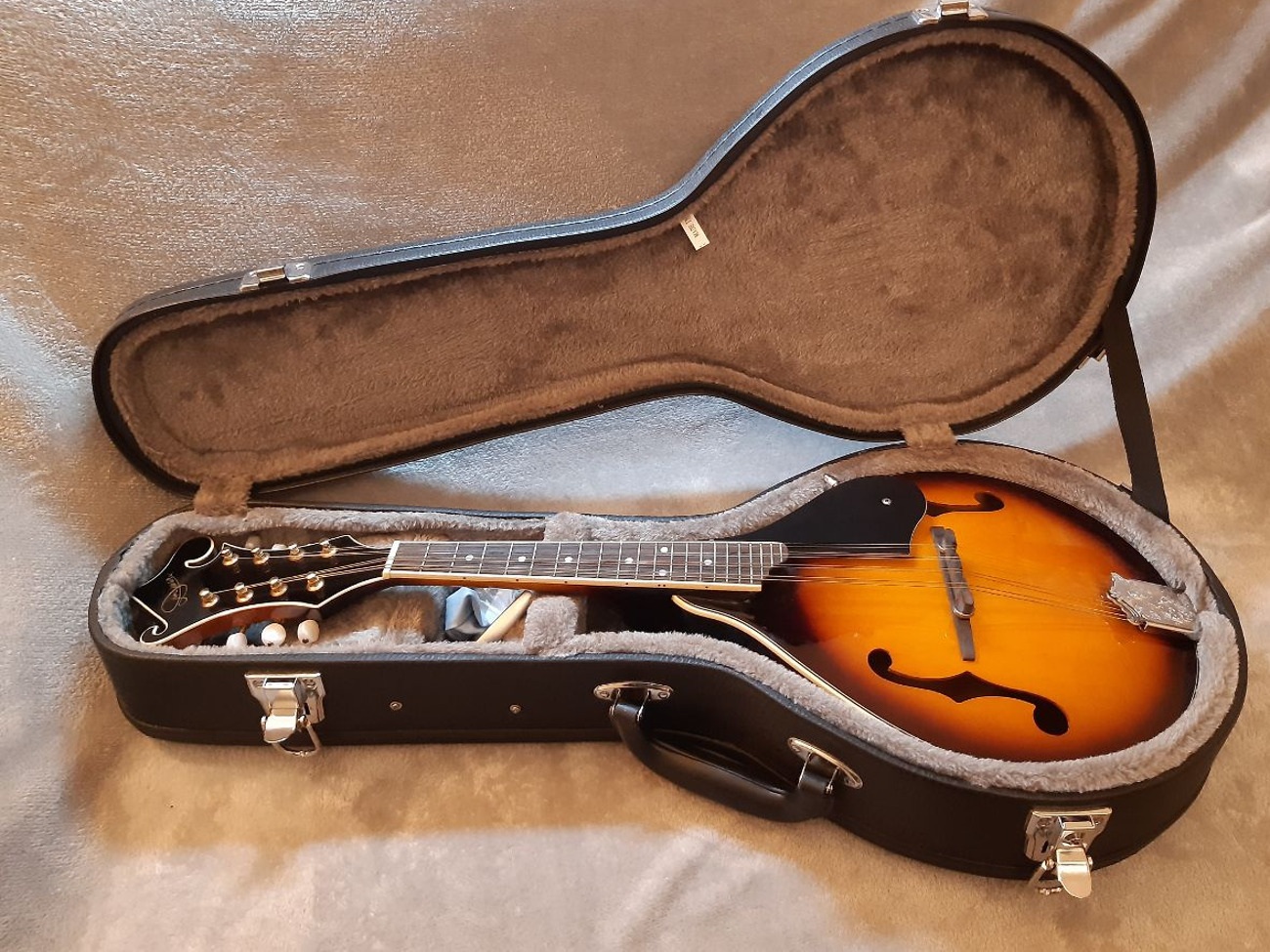 Mandolin with case, books and capo