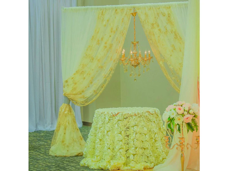 Metal arch with ivory and gold backdrop - or any color and chandelier