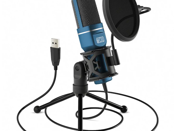 Microphone