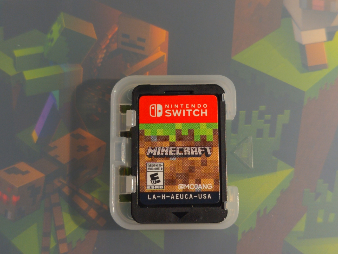 Nintendo fashion switch with minecraft game