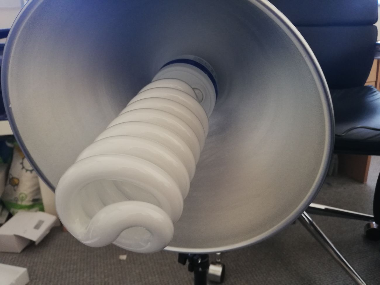 Mini-photography lighting with stands 0.5m (2 x 80w)