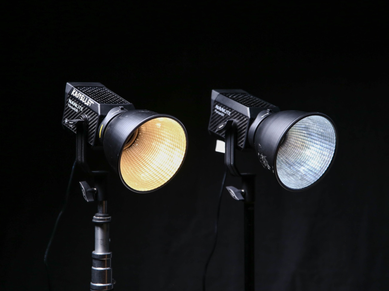 Nanlite forza 60b + 60d + fresnel (bi-color & daylight led light)