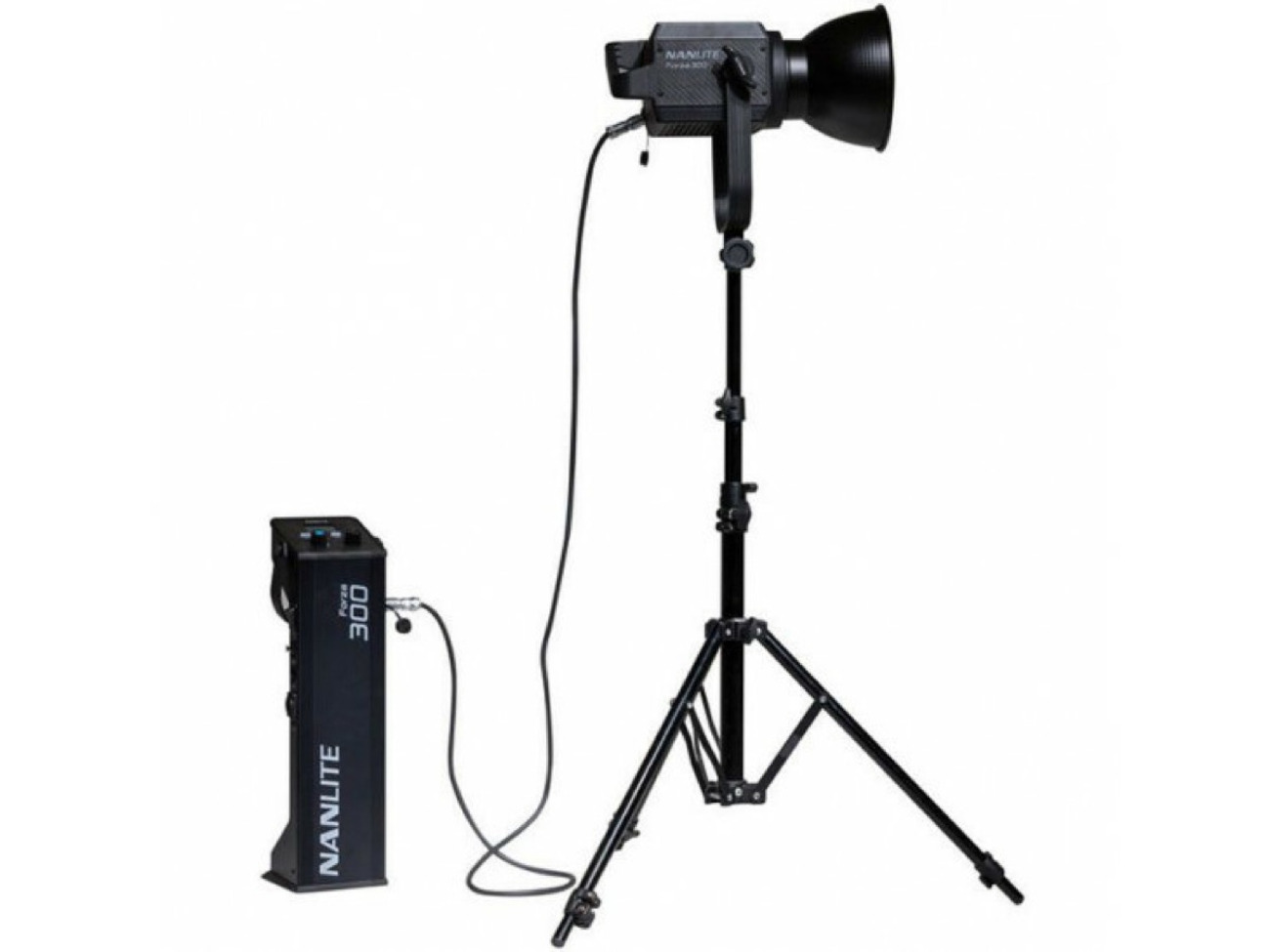 Nanlite forza 300