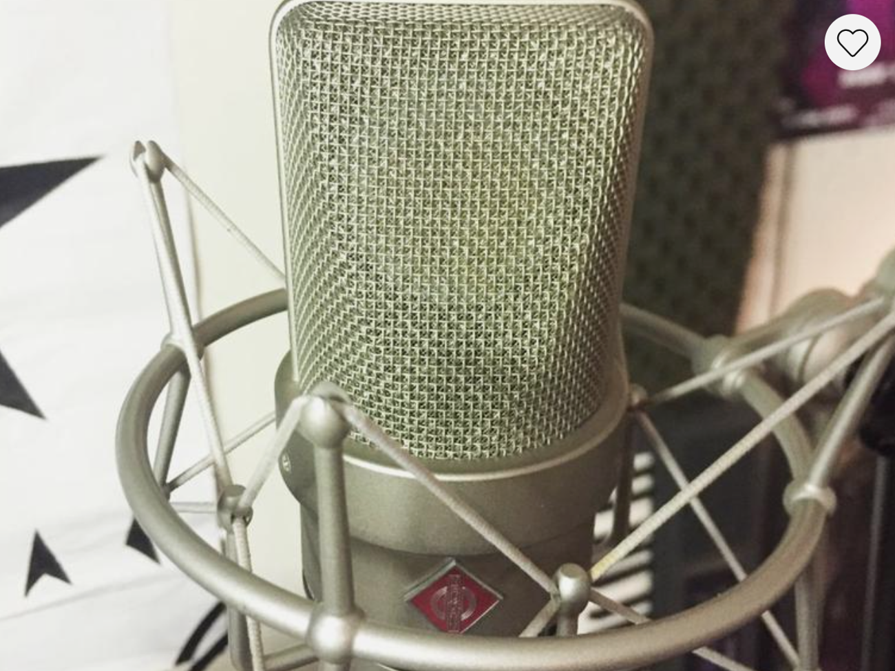 Neumann tlm 103 microphone with shockmout + cable 2