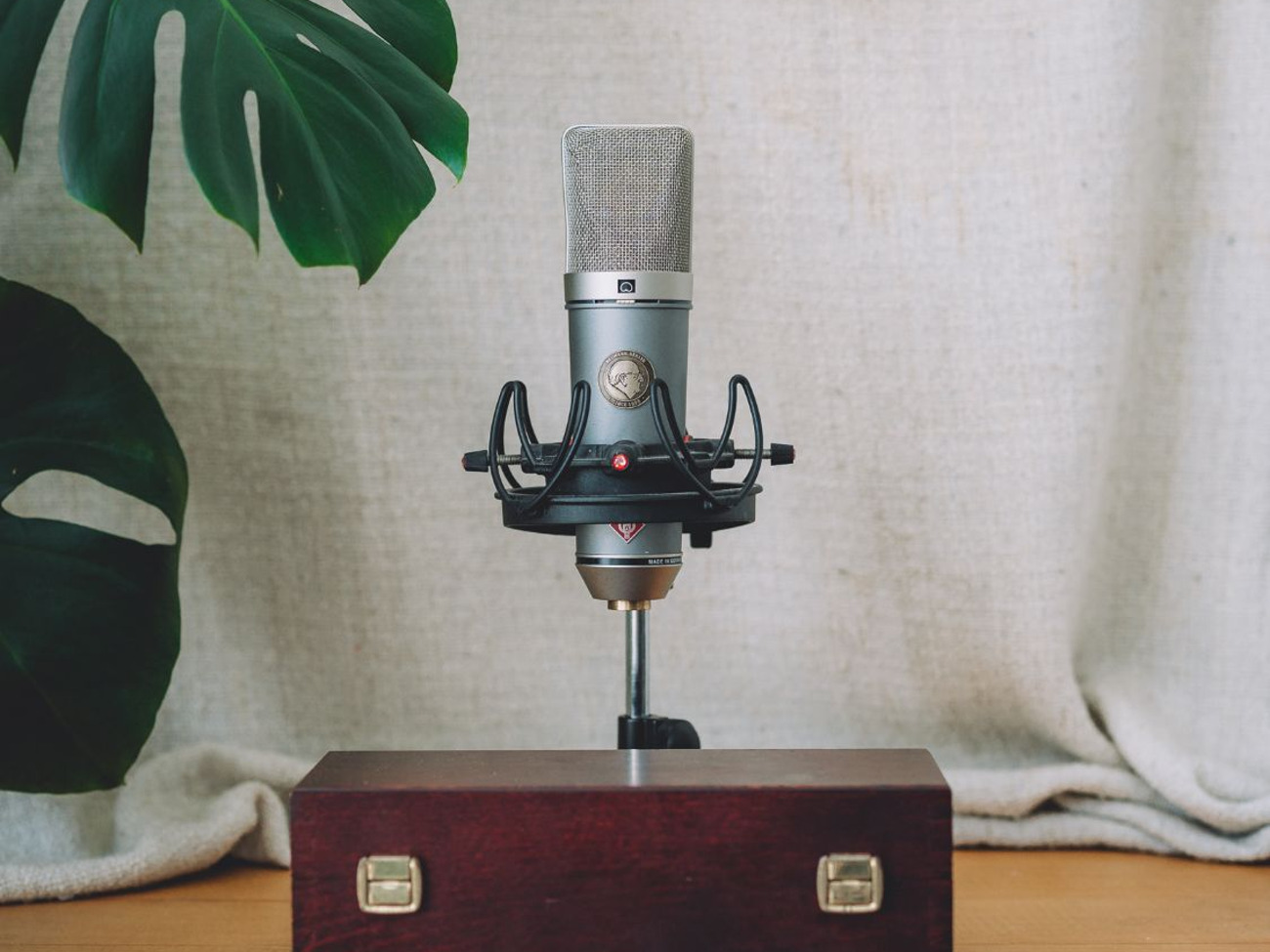 Neumann tlm67 condenser microphone