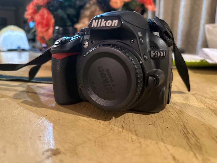 Nikon d3100
