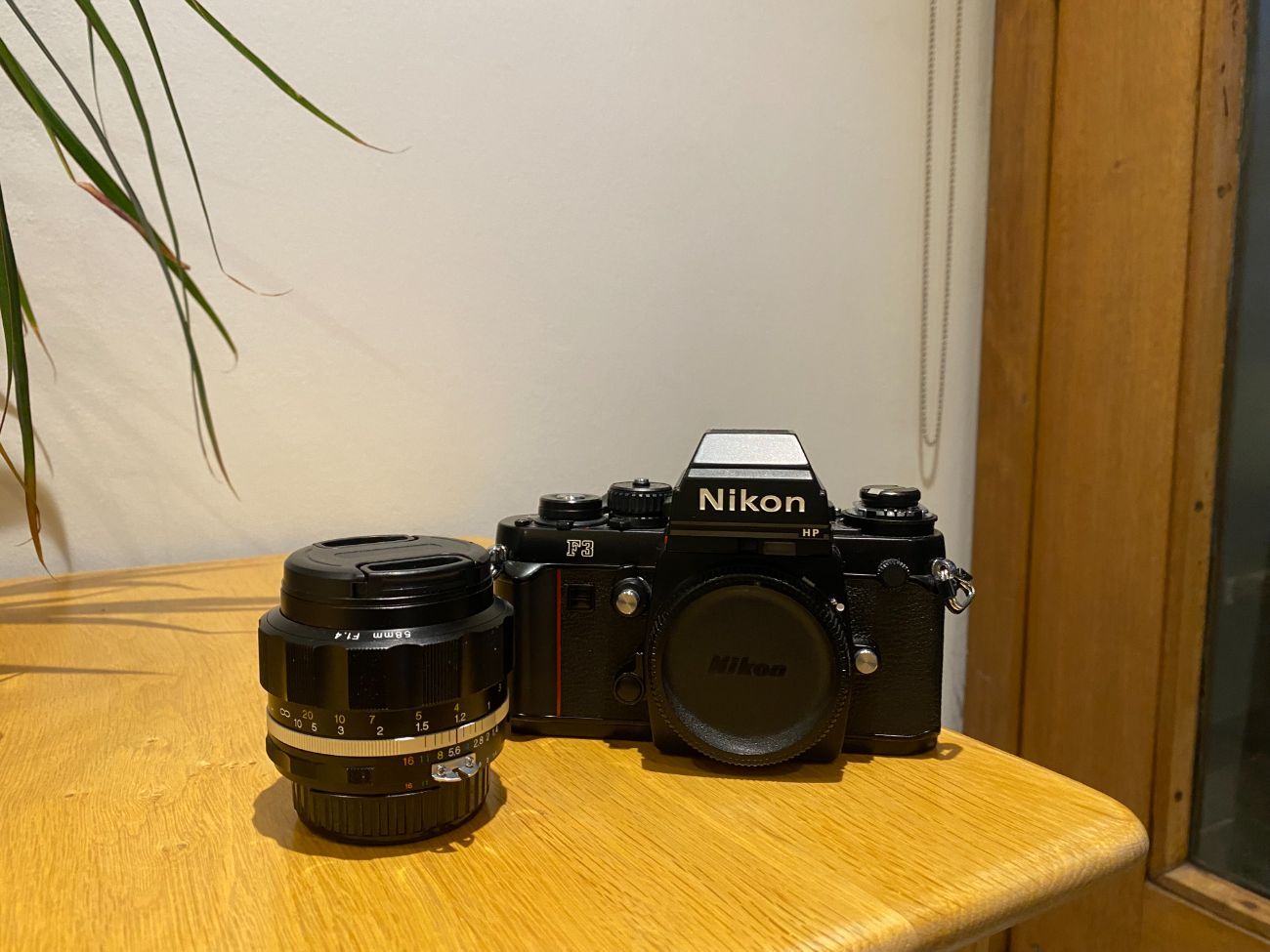 Nikon f3 with voigtlander nokton 58mm