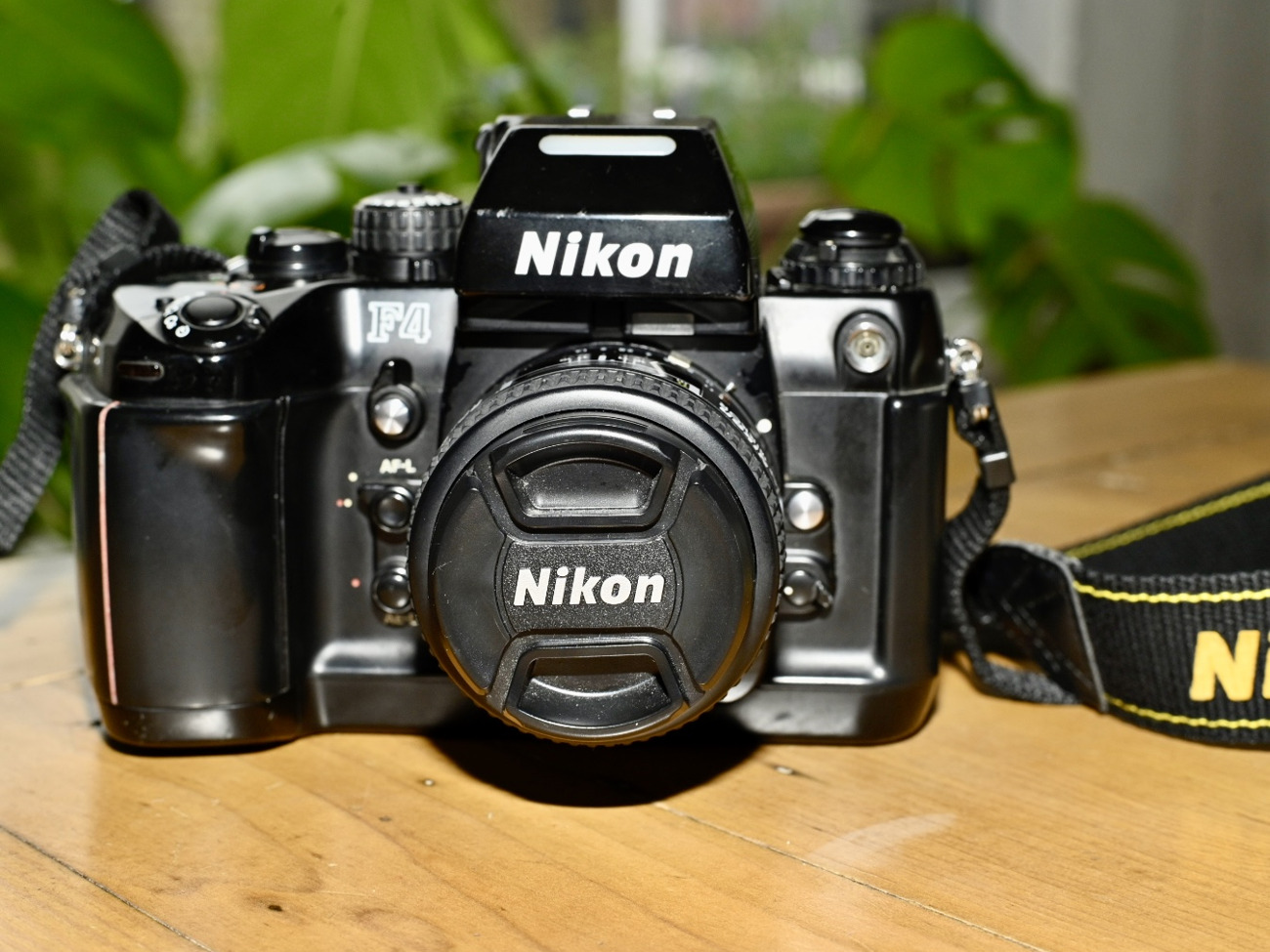 Nikon f4 with nikon af 50mm 1.4d